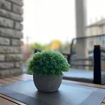 Zuki Appartement *