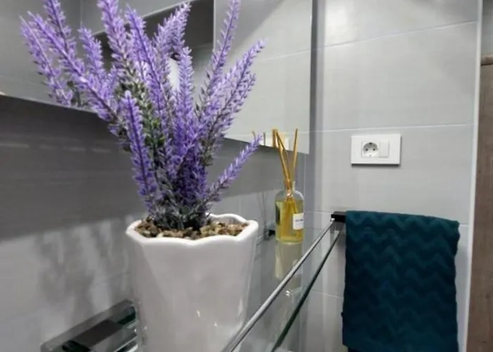 Zuki 아파트 피로바츠